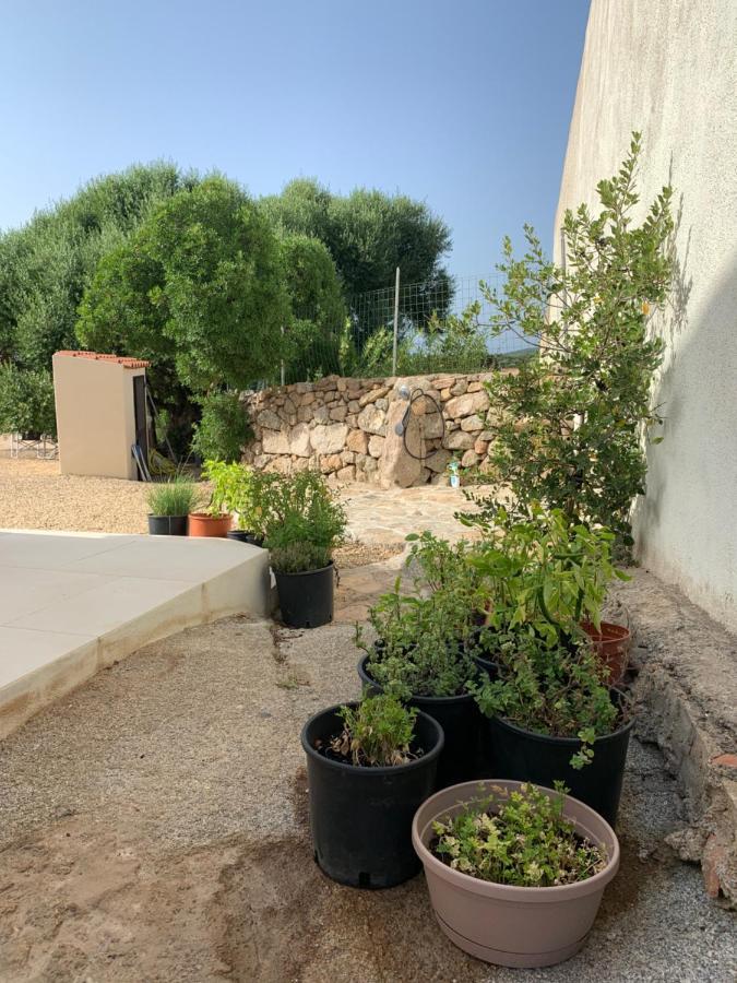 Pensjonat Stazzu Nuraghe Mannucciu Rena Majore Zewnętrze zdjęcie